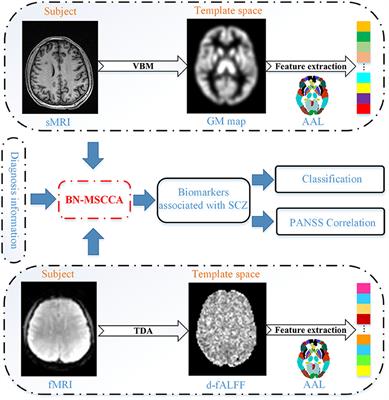 Exploring Brain Structural and Functional Biomarkers in Schizophrenia via Brain-Network-Constrained Multi-View SCCA